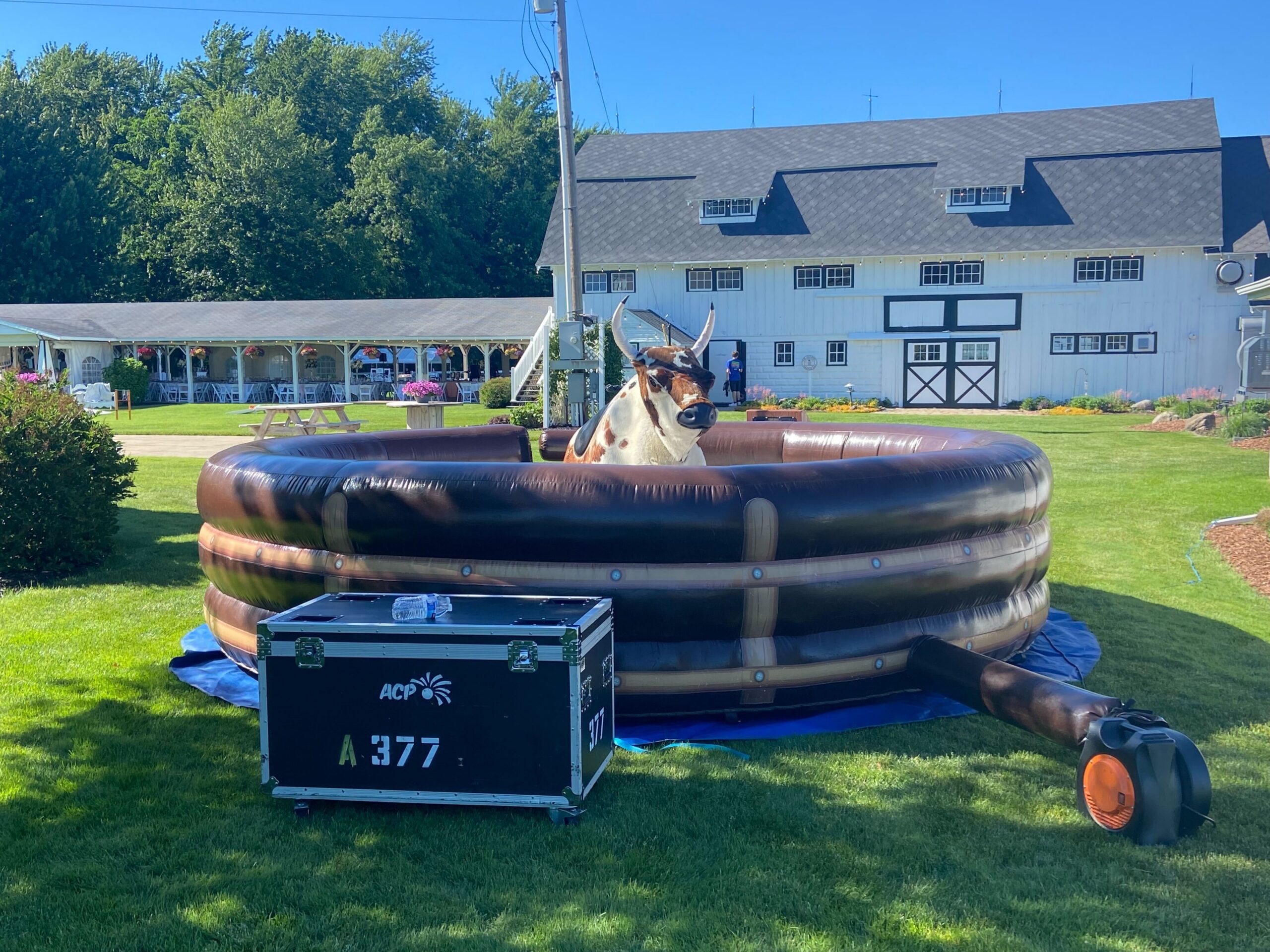 Mechanical Bull ACP